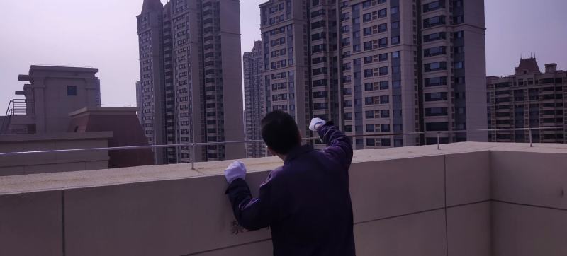 淡水鱼大全