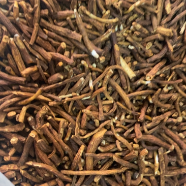 蒲公英根，小椴食物拍摄，各种规格型号