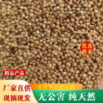 【热销】次谷子，小米糠，适用于养殖厂，饲料厂添加