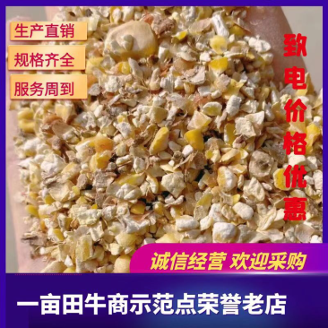 【热卖】烘干碎玉米用于饲料厂养殖厂降低成本，货源充足