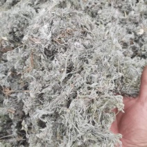 批发零售