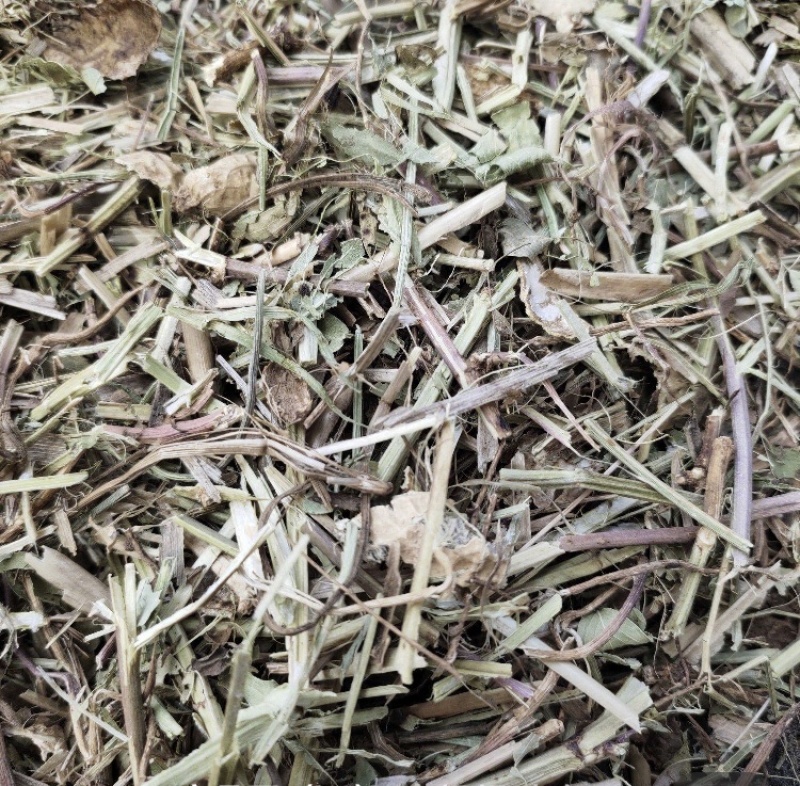 【热销稻草】稻草适用于养殖牛羊降低成本常年供应