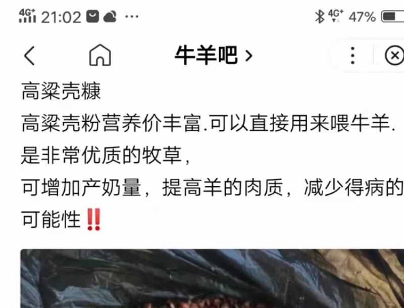 【热销产品】高粱糠用于养殖户直接喂养，饲料厂添加
