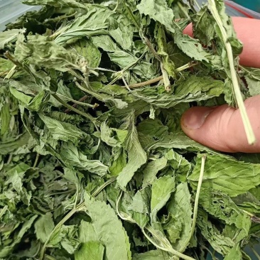 花茶，药厂货都有