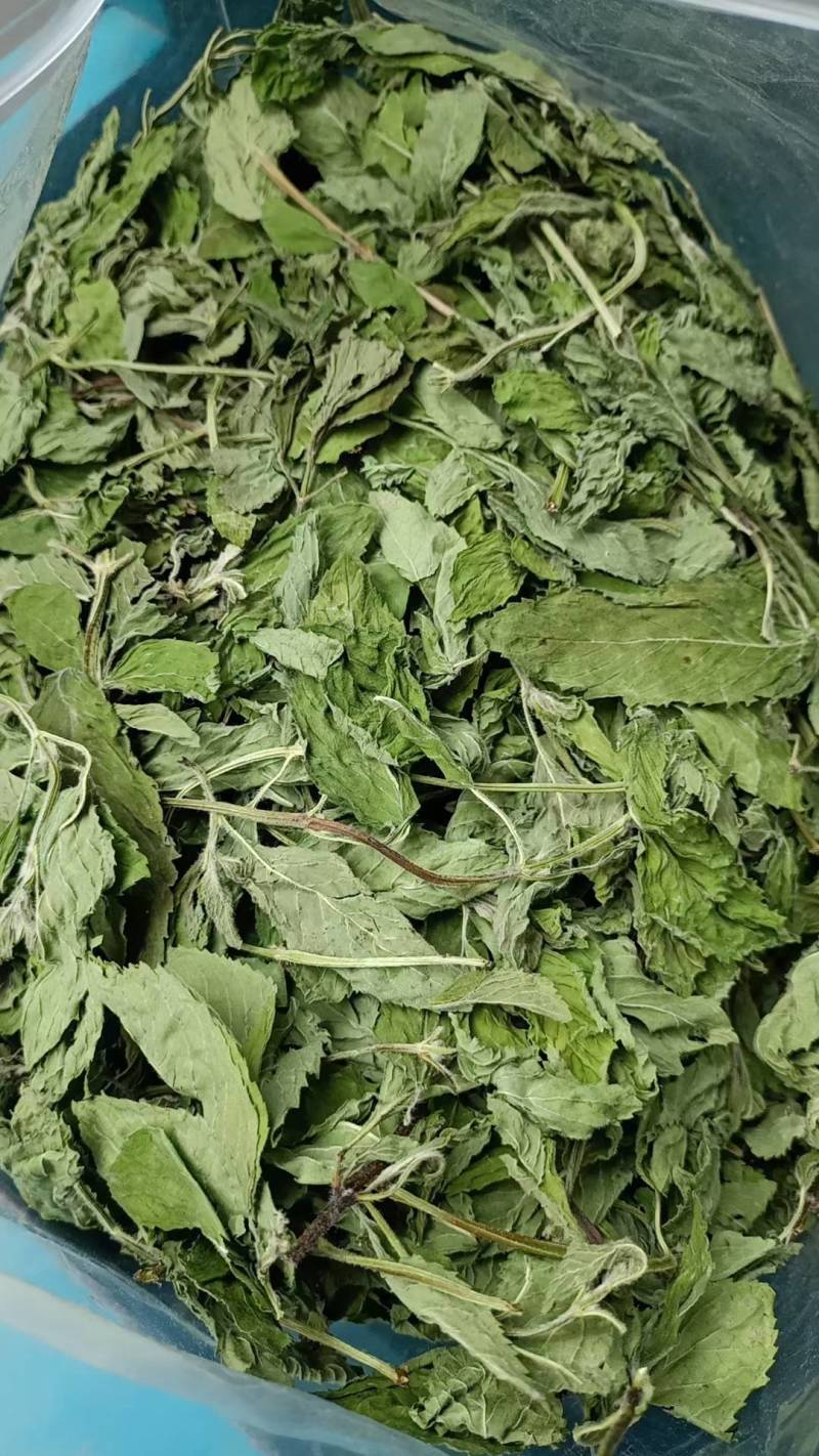 花茶，药厂货都有
