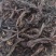 紫草硬紫草中药材批发紫草质量保证量大从优