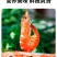 基围虾白灼虾冻品干锅基围虾活冻冻虾，10盒白灼虾多规格