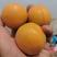陕西大黄杏，时令水果，酸甜多汁。现摘现发，支持一件代发。