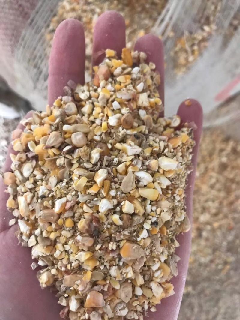 【热销】本地碎玉米适用于饲料厂，养殖猪牛羊鸡鸭鹅