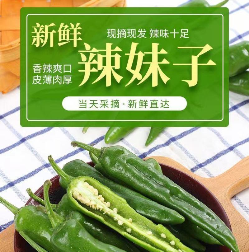 新鲜辣妹子辣椒美人椒朝天椒薄皮青尖辣椒土辣椒小辣椒剁椒