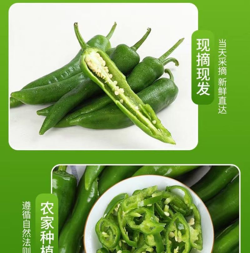 新鲜辣妹子辣椒美人椒朝天椒薄皮青尖辣椒土辣椒小辣椒剁椒