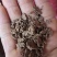 茶麸，杀菌，做肥料，也可以洗头，特别是油性头发