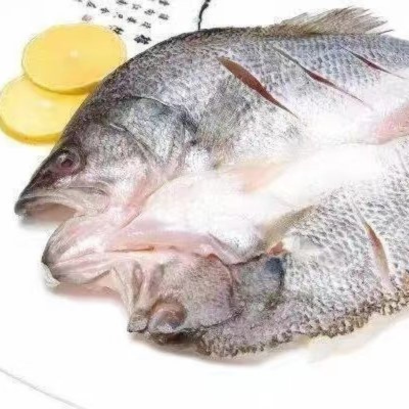 干净免洗海鲈鱼