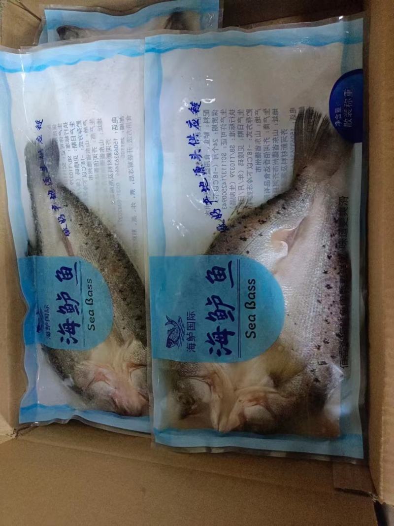 干净免洗海鲈鱼