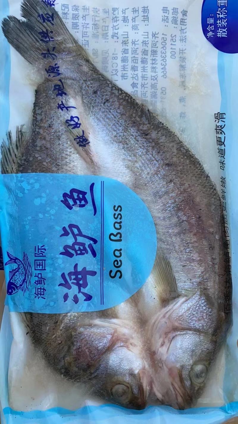 干净免洗海鲈鱼