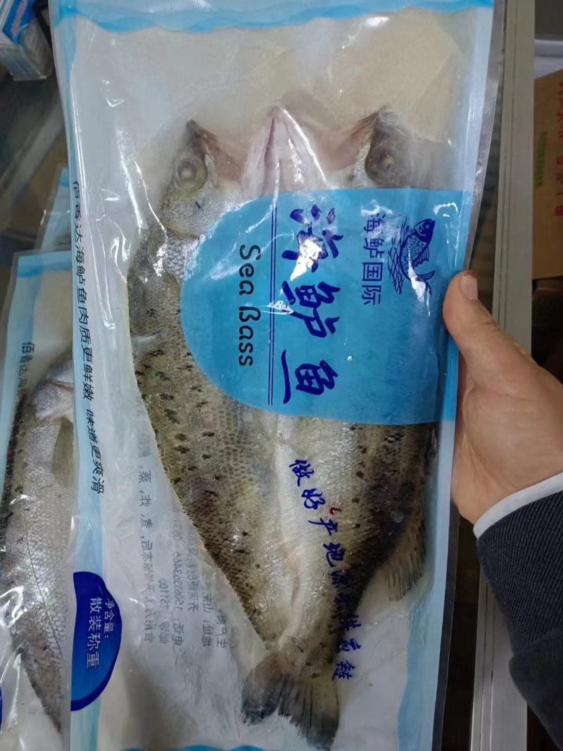 干净免洗海鲈鱼