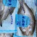 干净免洗海鲈鱼