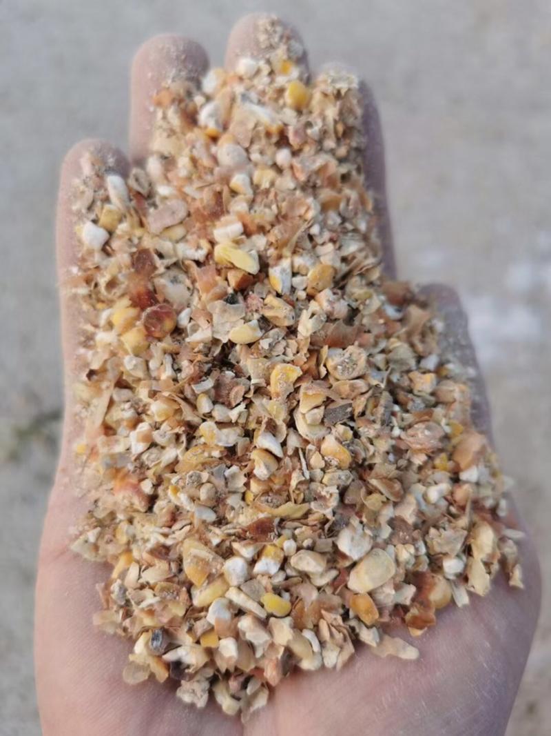 【热销】烘干碎玉米无沙无霉变，保证质量常年供羊饲料厂专用