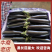 精品黑宝茄子，烧烤茄，黑宝，布莱迪，大量上市质量保证