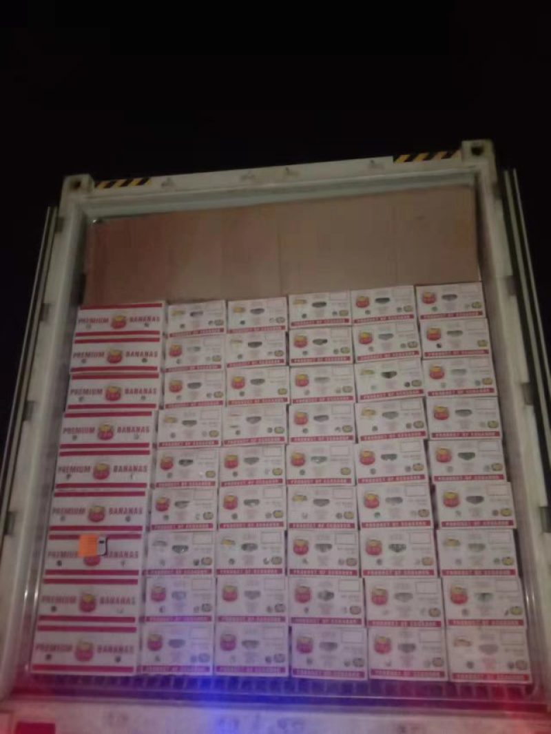 精品香蕉一手货源品质保证量大从优欢迎选购