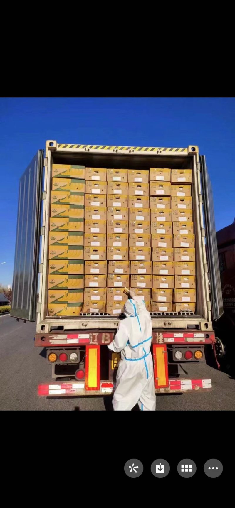 精品香蕉一手货源品质保证量大从优欢迎选购