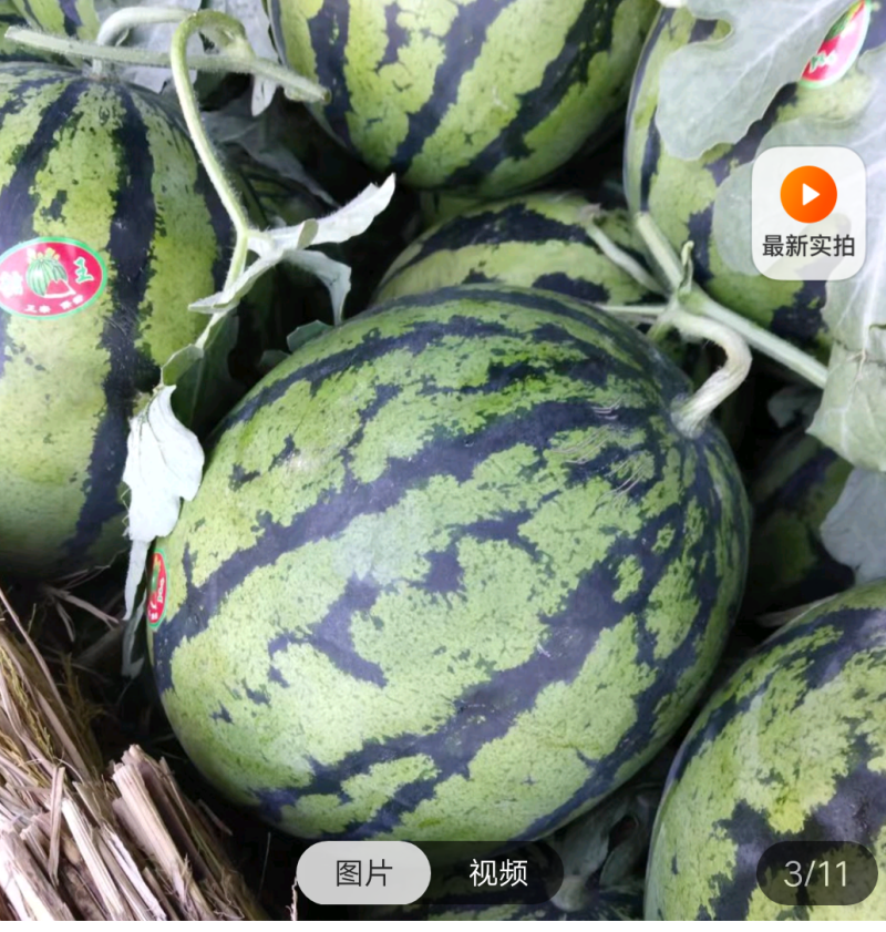 甜王西瓜