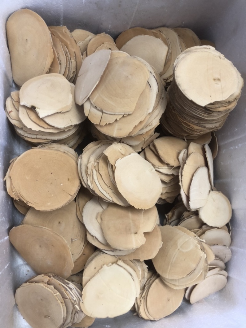 东革阿里黄片