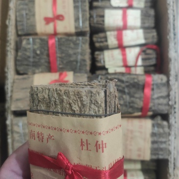 杜仲皮杜仲皮干净无杂质量大从优欢迎选购！