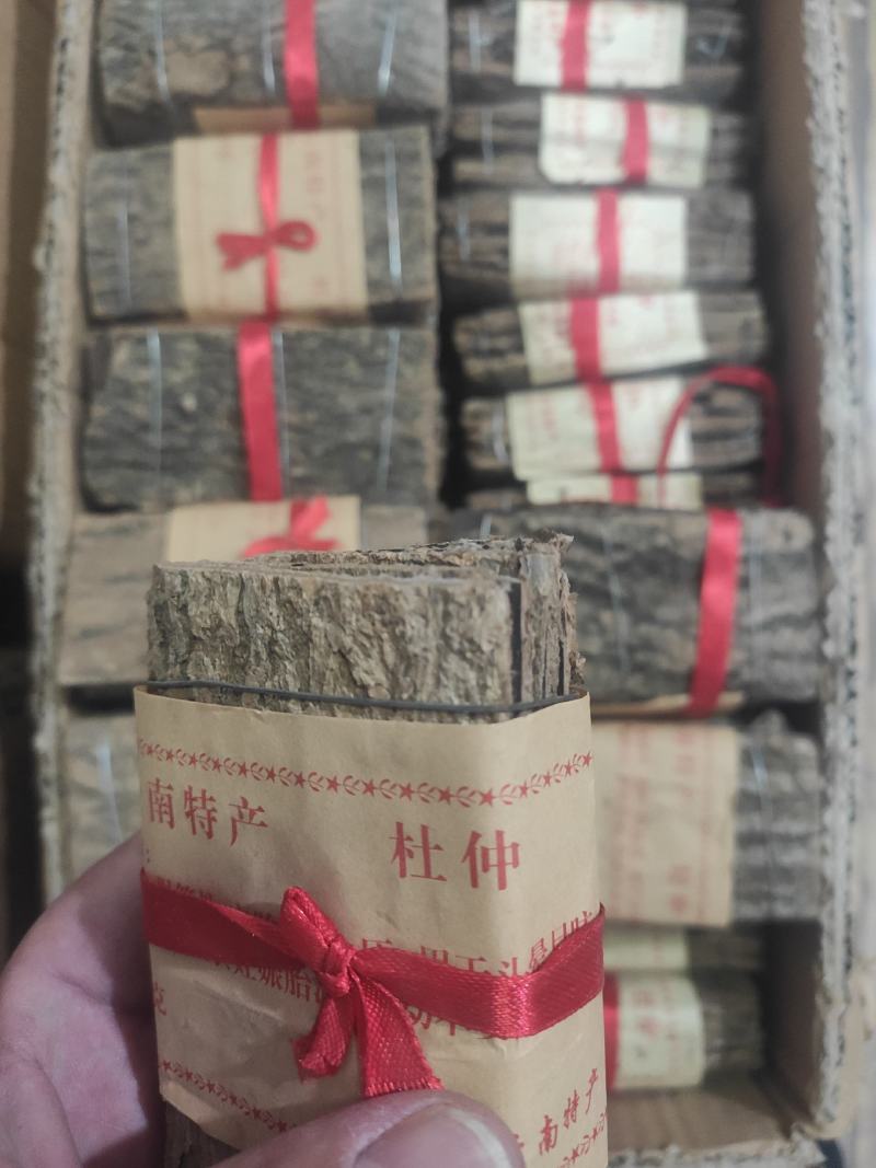 杜仲皮杜仲皮干净无杂质量大从优欢迎选购！