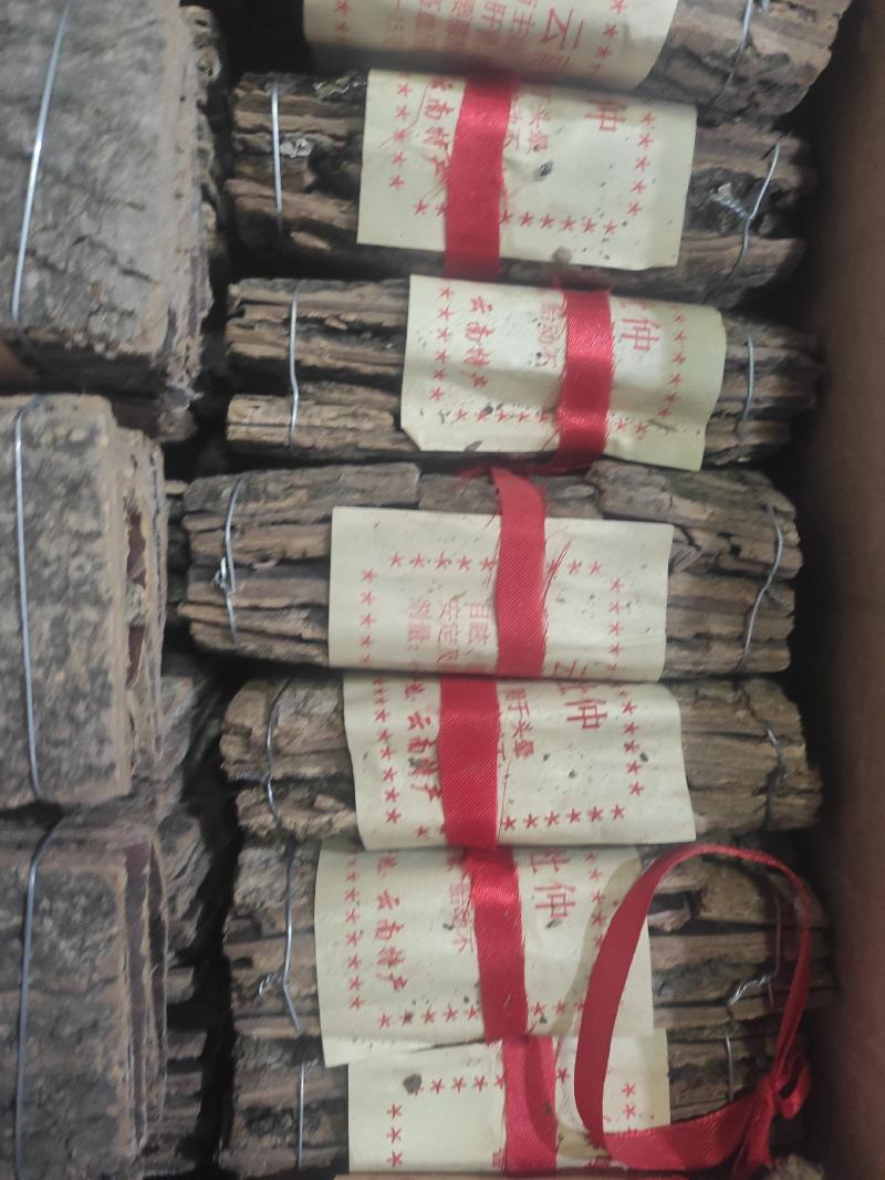 杜仲皮杜仲皮干净无杂质量大从优欢迎选购！