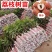 荔枝苗正品糯米糍荔枝鸡嘴荔枝苗冰荔枝大杯苗