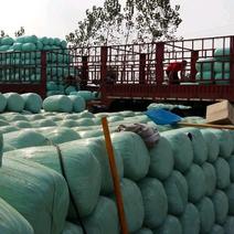 云南贵州玉米秸秆甘蔗渣青储料基地直发质量严格把关
