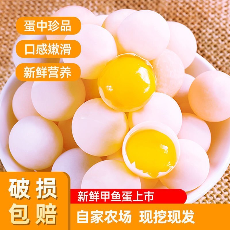 【坏蛋包赔】新鲜食用甲鱼蛋120/60枚2022老鳖蛋