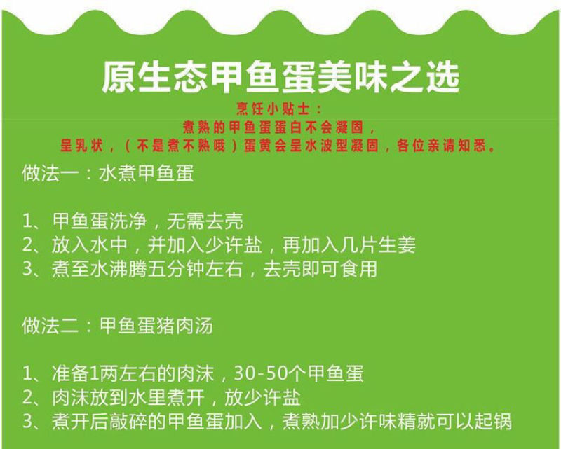【坏蛋包赔】新鲜食用甲鱼蛋120/60枚2022老鳖蛋