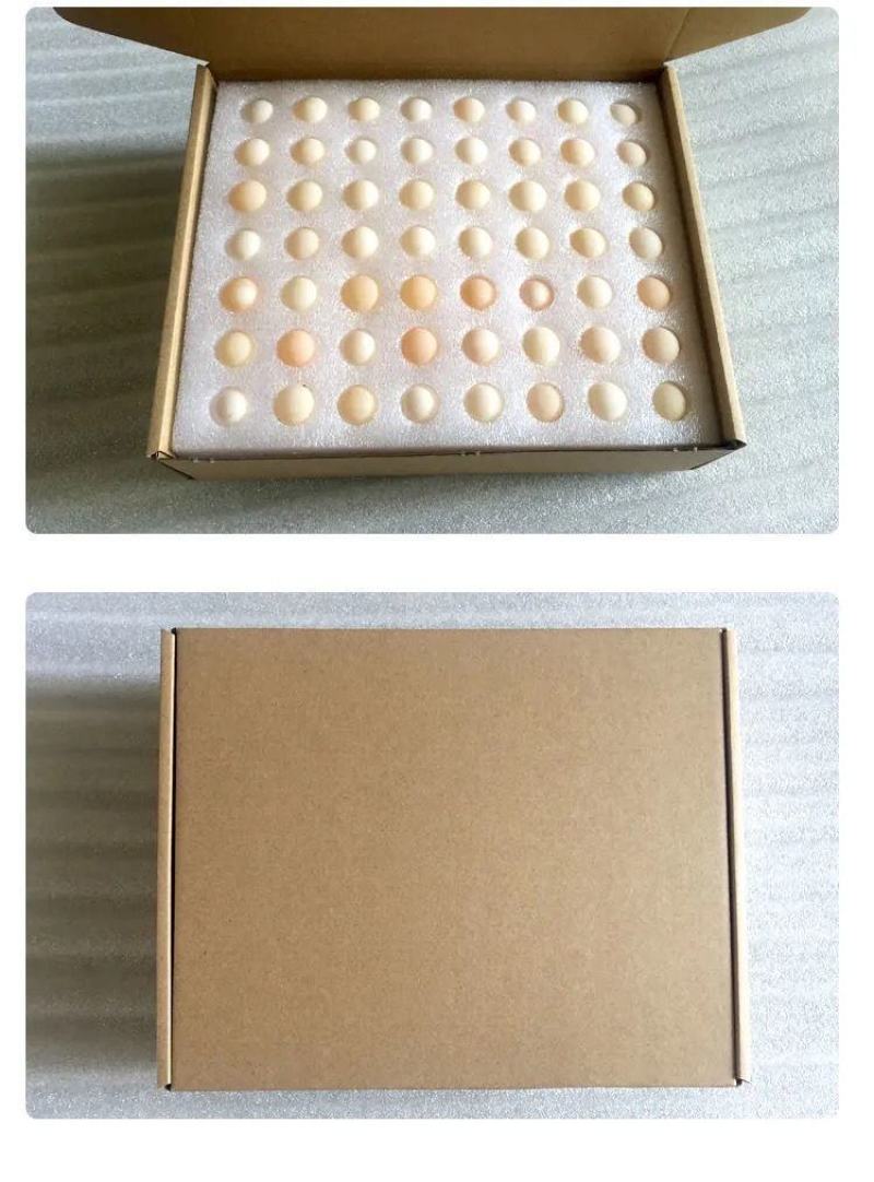 【坏蛋包赔】新鲜食用甲鱼蛋120/60枚2022老鳖蛋