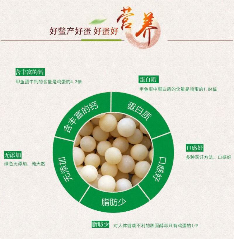 【坏蛋包赔】新鲜食用甲鱼蛋120/60枚2022老鳖蛋