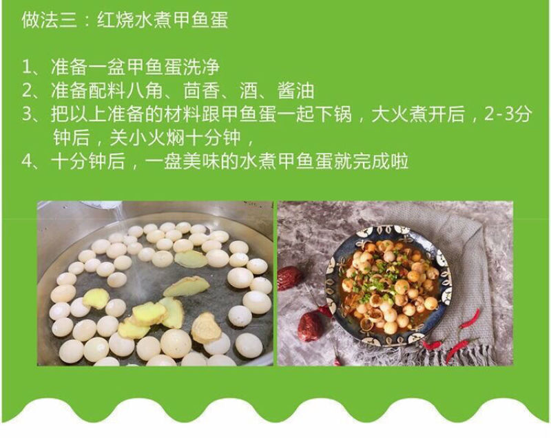 【坏蛋包赔】新鲜食用甲鱼蛋120/60枚2022老鳖蛋