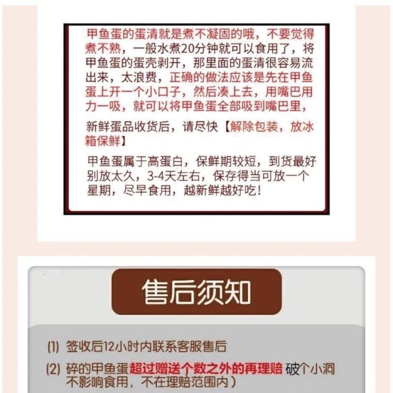 【坏蛋包赔】新鲜食用甲鱼蛋120/60枚2022老鳖蛋