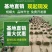 早熟禾耐践踏易生长草皮一手货源绿化专用草坪批发
