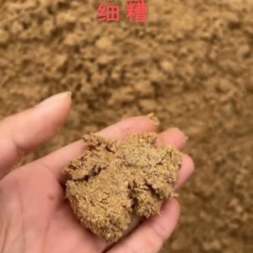 新鲜啤酒糟，水分低，蛋白高，质量好