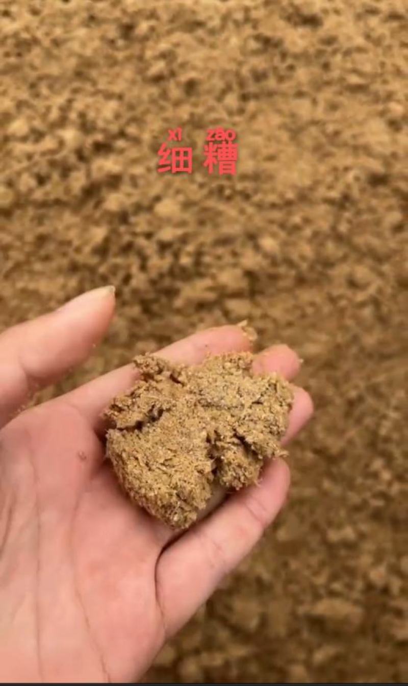 新鲜啤酒糟，水分低，蛋白高，质量好