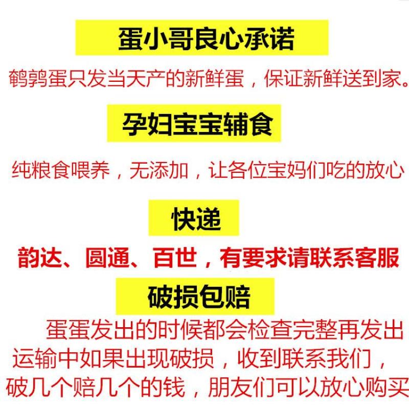 【赠送卤料】160枚农家杂粮喂养新鲜生鹌鹑蛋新鲜120