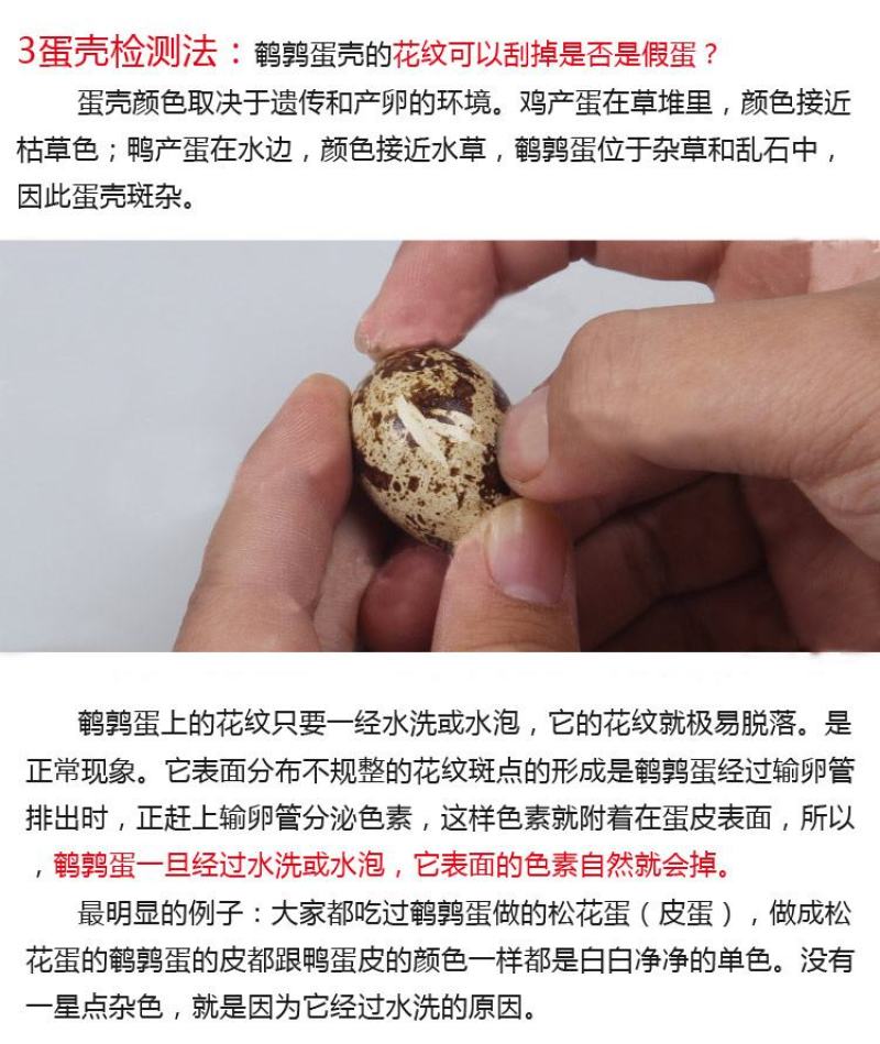 【赠送卤料】160枚农家杂粮喂养新鲜生鹌鹑蛋新鲜120