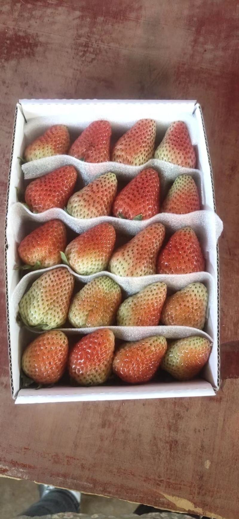 蒙特瑞大量上货，需要的来撩咯，产地自产自销哦