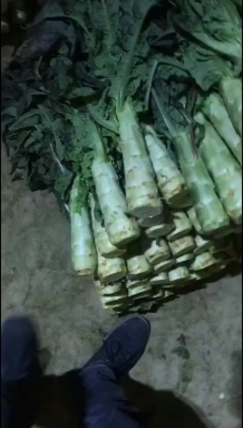 红笋上市需要的联系