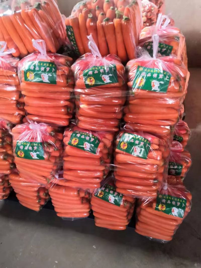 胡萝卜精品三红胡萝卜泥萝卜基地直供电商专供加工各种包