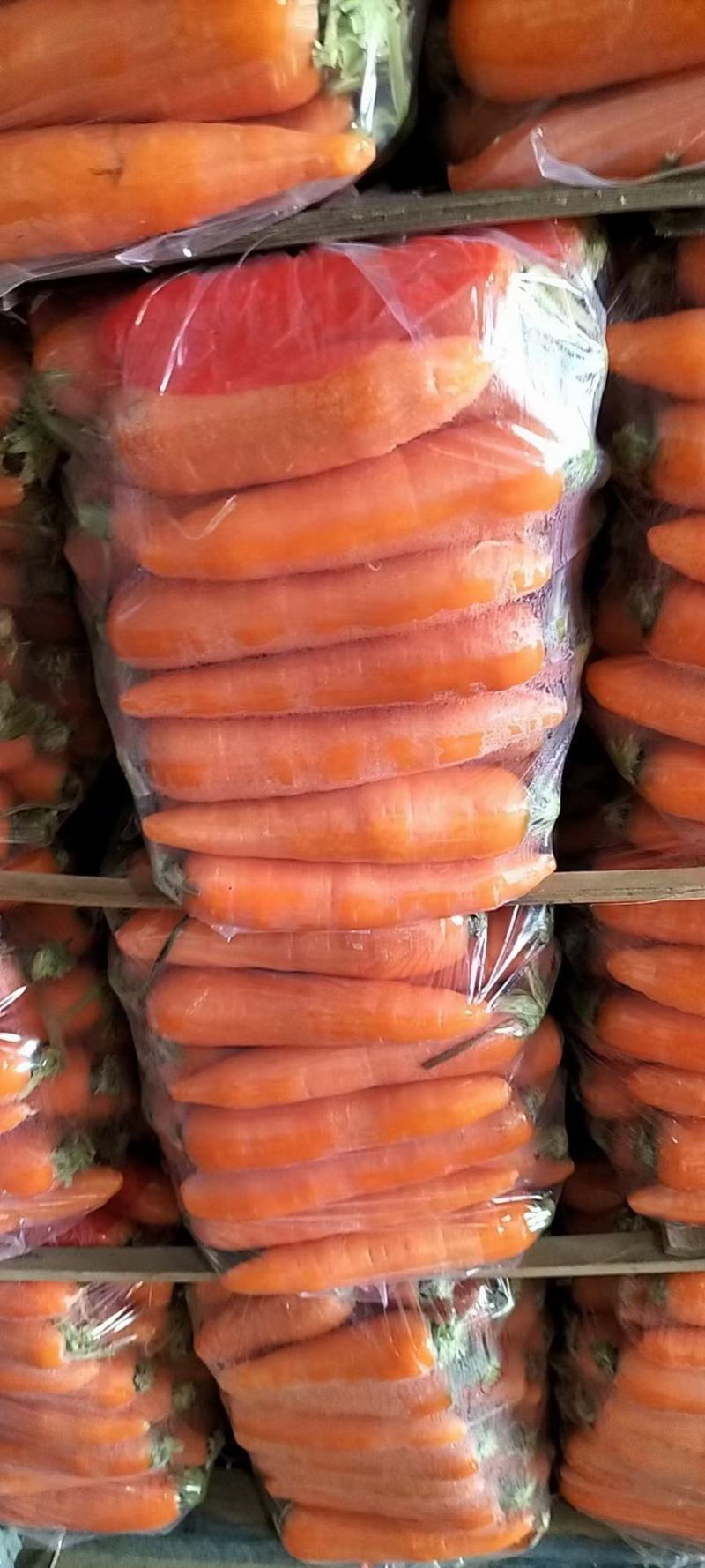 胡萝卜精品三红胡萝卜泥萝卜基地直供电商专供加工各种包