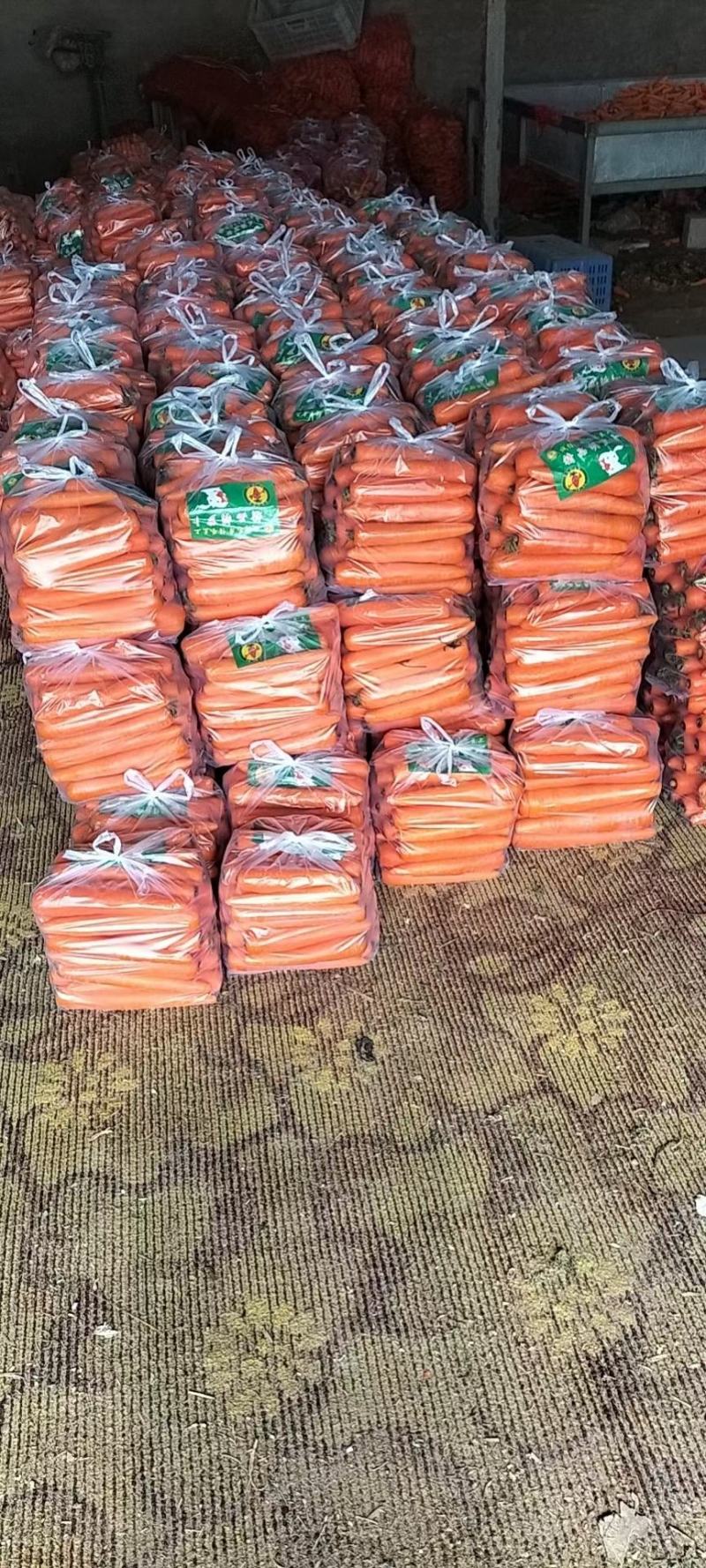胡萝卜精品三红胡萝卜泥萝卜基地直供电商专供加工各种包
