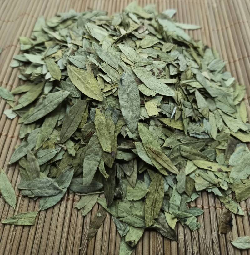 泻叶番泻叶各种中药材养生花茶批发诚信经营地道药材