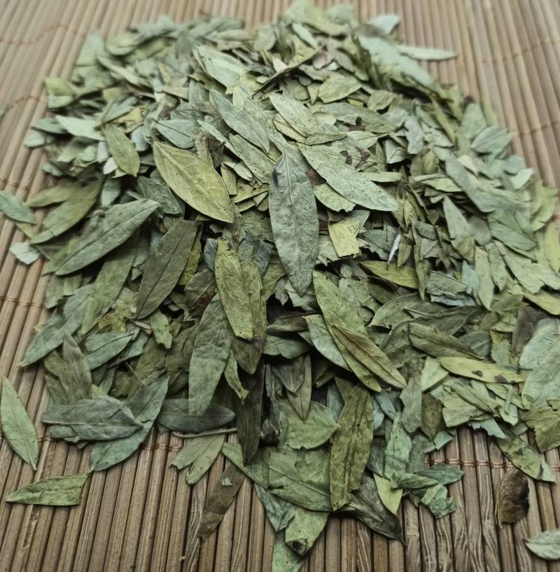 泻叶番泻叶各种中药材养生花茶批发诚信经营地道药材